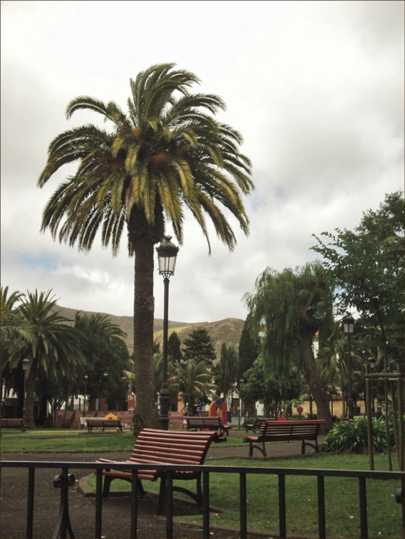 Тенерифе 2013. Ла Лагуна.