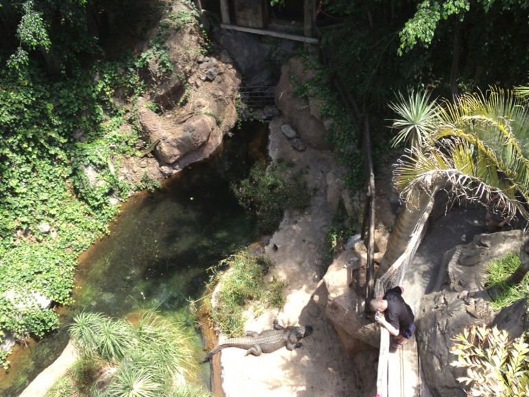 Тенерифе 2013. Джангл-парк.