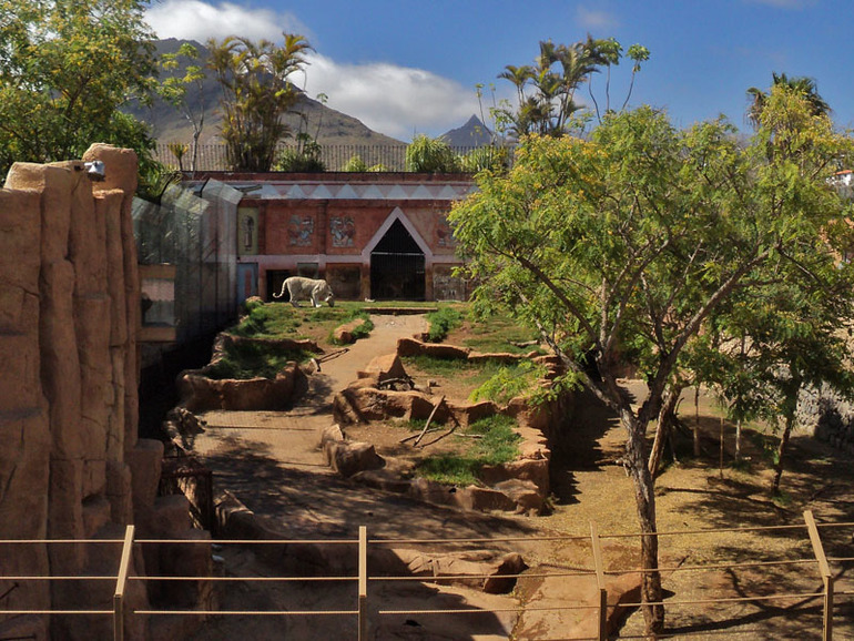 Тенерифе 2013. Джангл-парк.