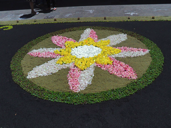 Тенерифе 2013. Ла Лагуна.