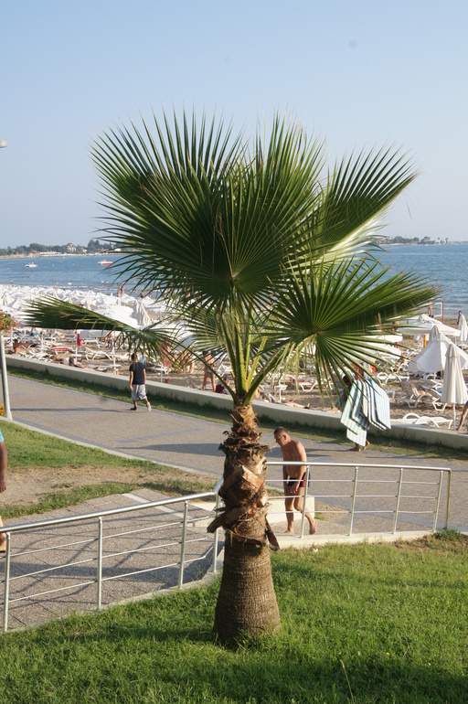 Наш первый совместный отдых!