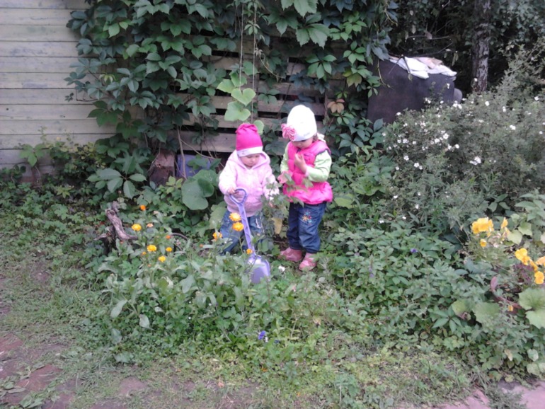 О нас.
