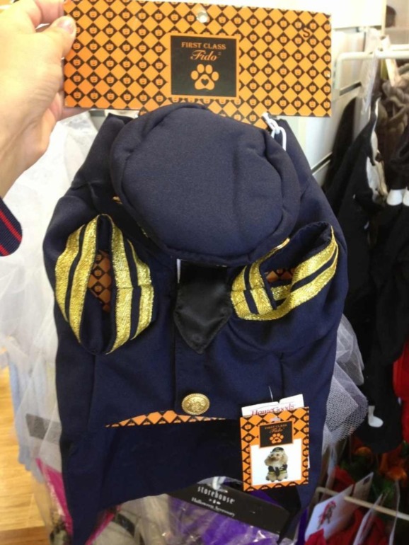 Принимаю заказики на костюмчики для ваших любимчиков! )))