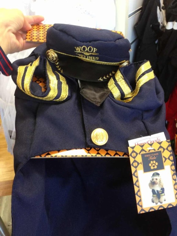 Принимаю заказики на костюмчики для ваших любимчиков! )))