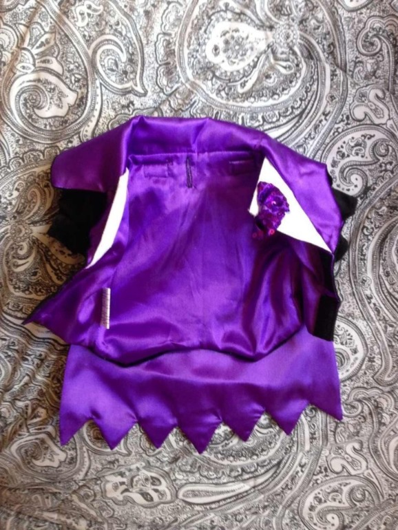 Принимаю заказики на костюмчики для ваших любимчиков! )))