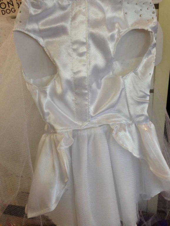 Принимаю заказики на костюмчики для ваших любимчиков! )))