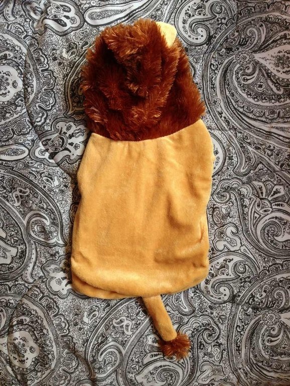 Принимаю заказики на костюмчики для ваших любимчиков! )))