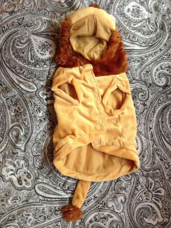 Принимаю заказики на костюмчики для ваших любимчиков! )))