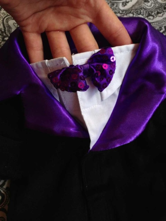 Принимаю заказики на костюмчики для ваших любимчиков! )))