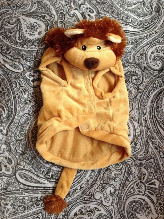 Принимаю заказики на костюмчики для ваших любимчиков! )))