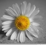 С кем менялась)))уж кого вспомнила)))