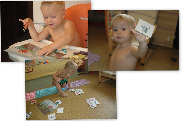 ФМ Овощи 1 день