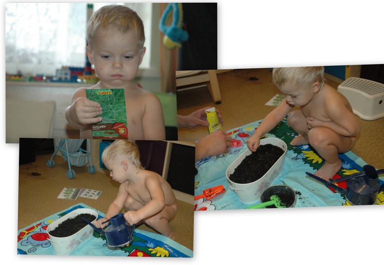 ФМ Овощи 1 день