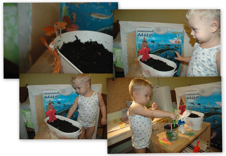 ФМ Овощи 1 день