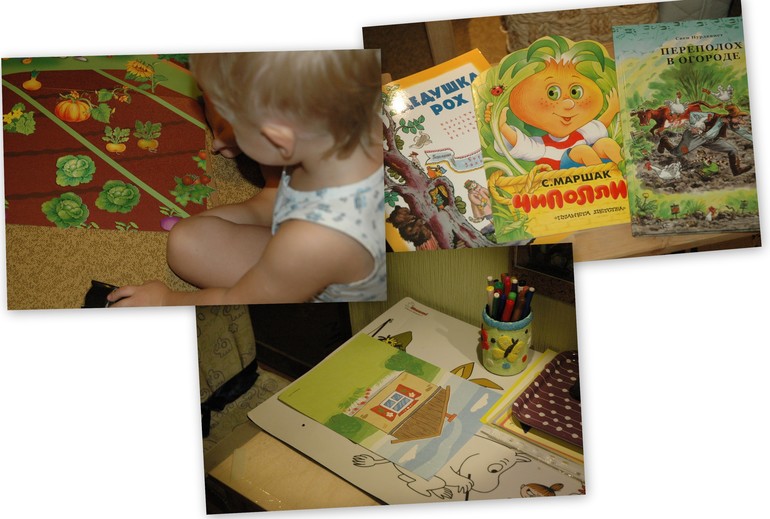 ФМ Овощи 1 день