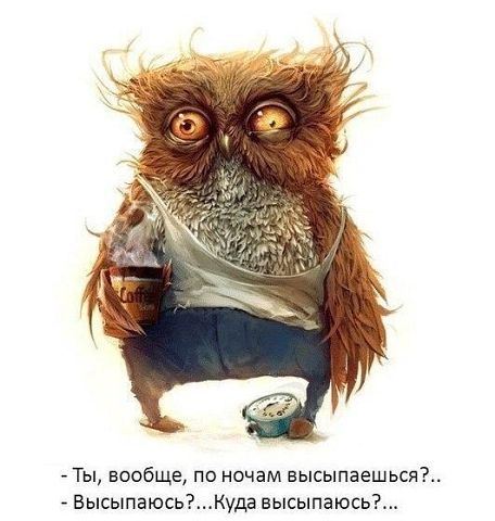 садик садик садик...