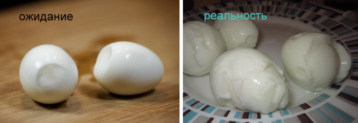 Куры явно что-то замышляют...