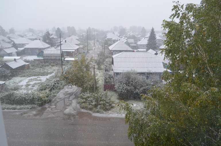 Покупать санки!