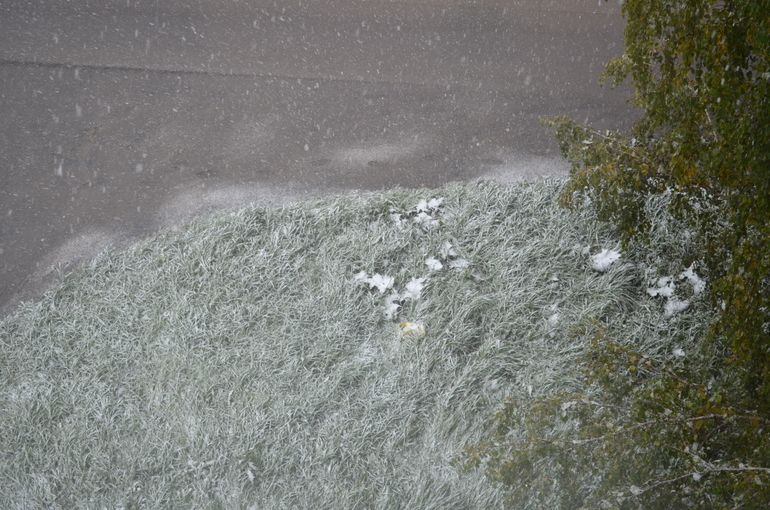 Покупать санки!