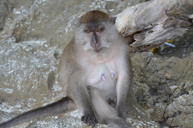 Скучаю по тебе любимый . . . ТАЙЛАНД!!!