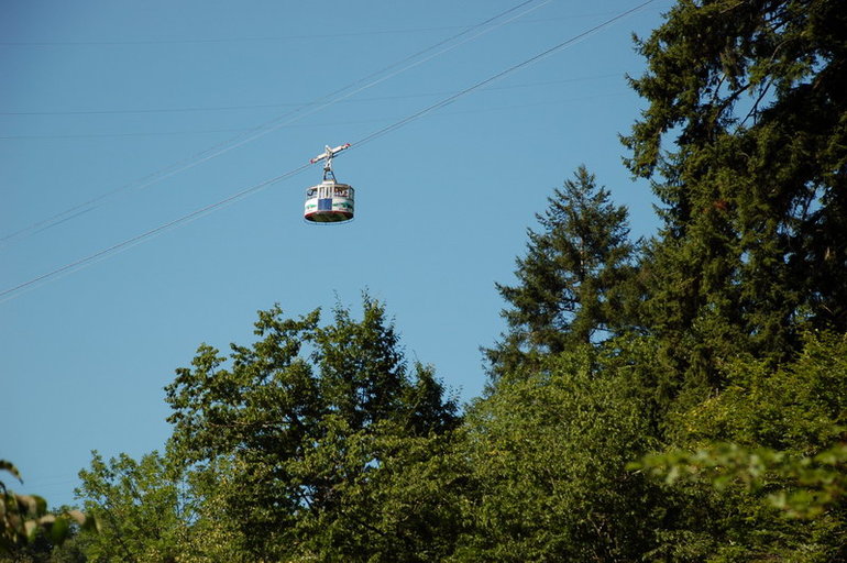 Часть шестая. Боржоми.