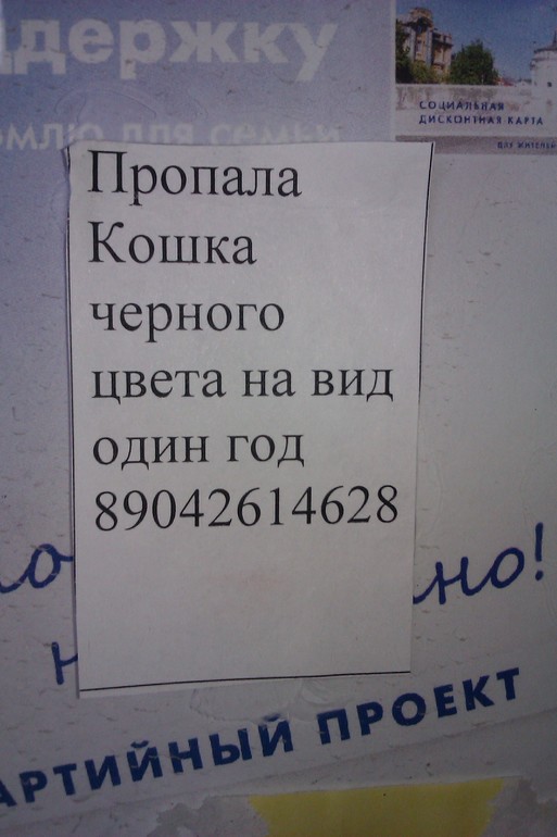 0aff3ec34952f09bb2791894ad612193.jpg