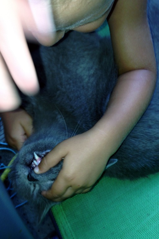 a5eb2975db2598b0d0e0e2466cd56cb0.jpg