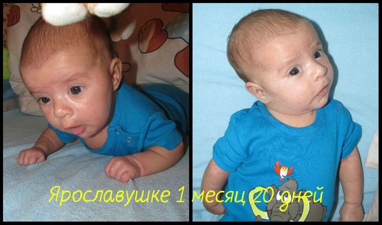 зайчик наш