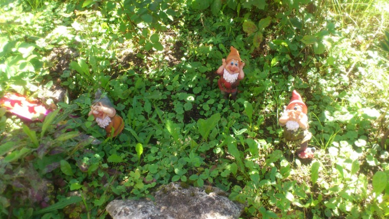 Мои кусочки лета)