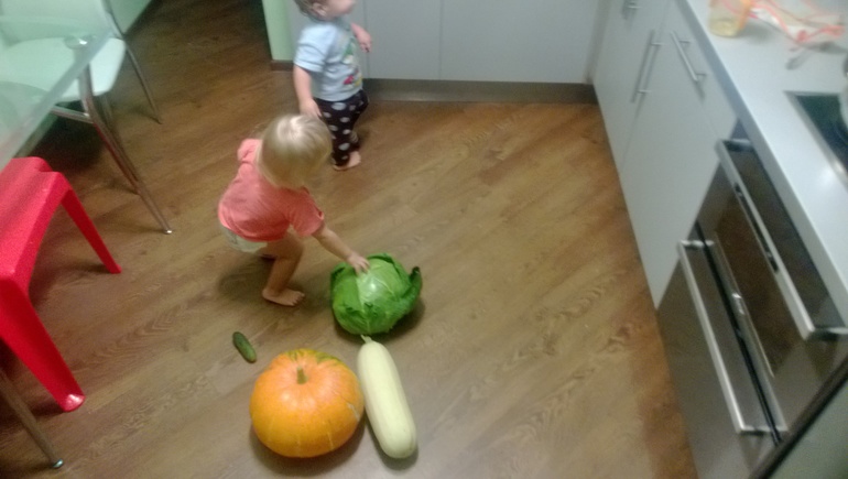 Тематическая неделя (ТН) овощи! День первый