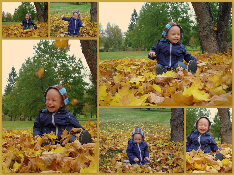 Осенняя прогулка