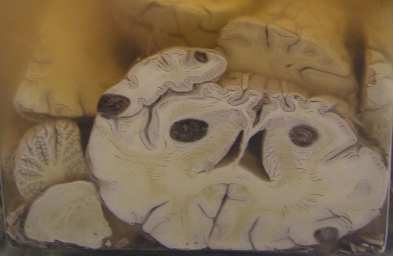 УЧИСЬ..учись..учись..учу