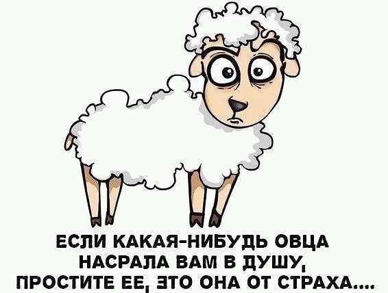 Когда работать лень, мне всегда весело)))