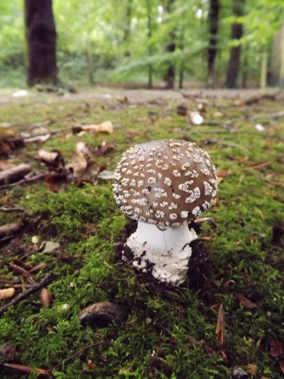 8464e72c5b9c890a3863c92f16001c67.jpg