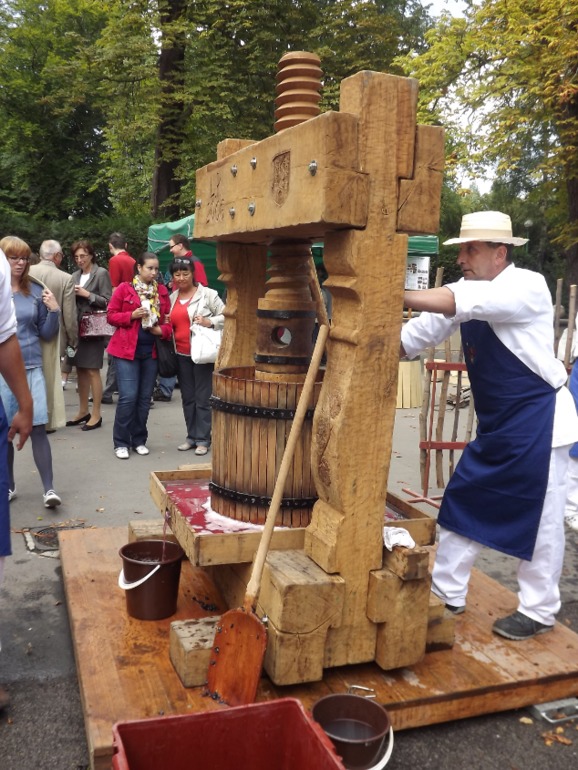 Бурчакомания