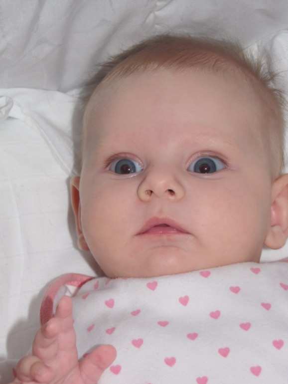 c905463d9ddbd146575a861938c8db50.jpg
