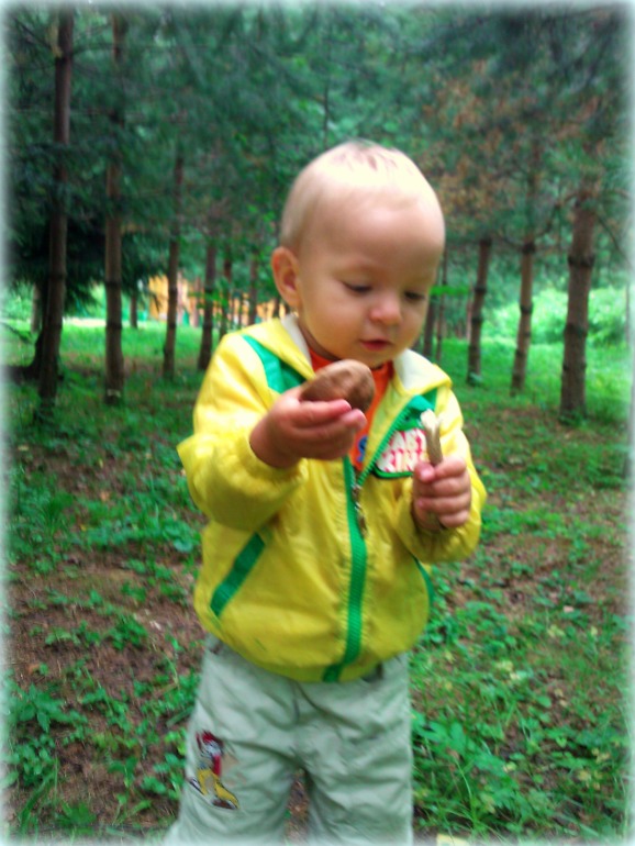 fe55ae5528b3db059809baa353647cfc.jpg
