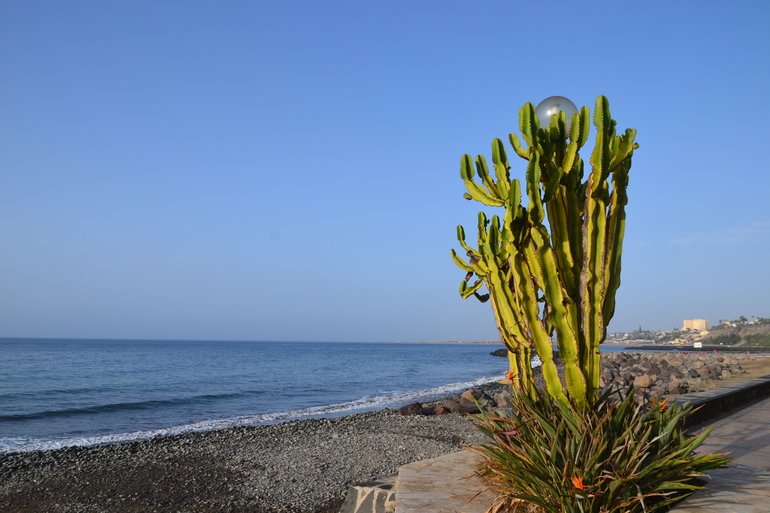 Мы вернулись )))