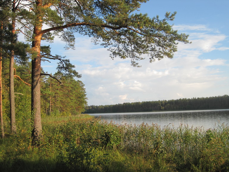 Пикник на берегу реки фото