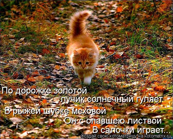 9381e7ed06c949e17acfe9c76a879cb6.jpg