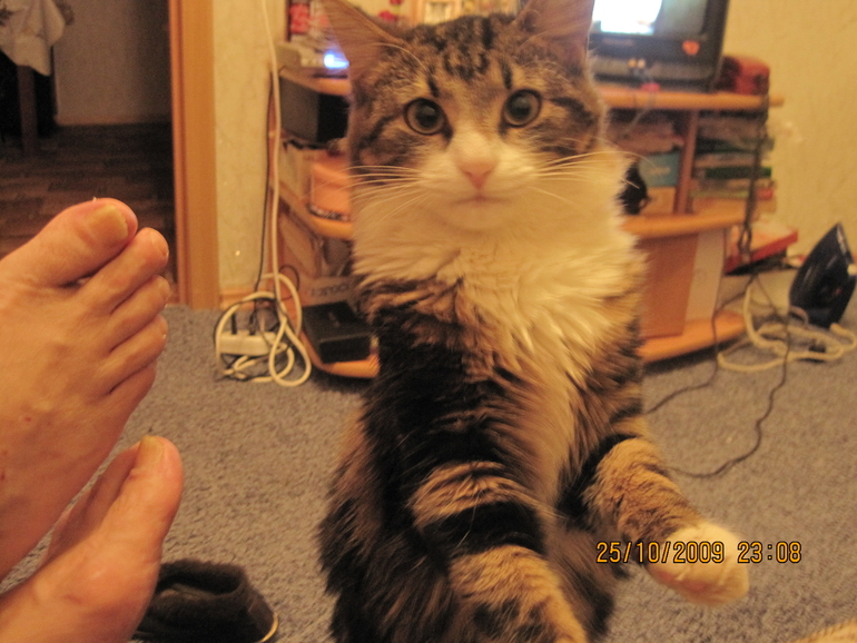 952ccf68554284ab5a304dad09295fed.jpg