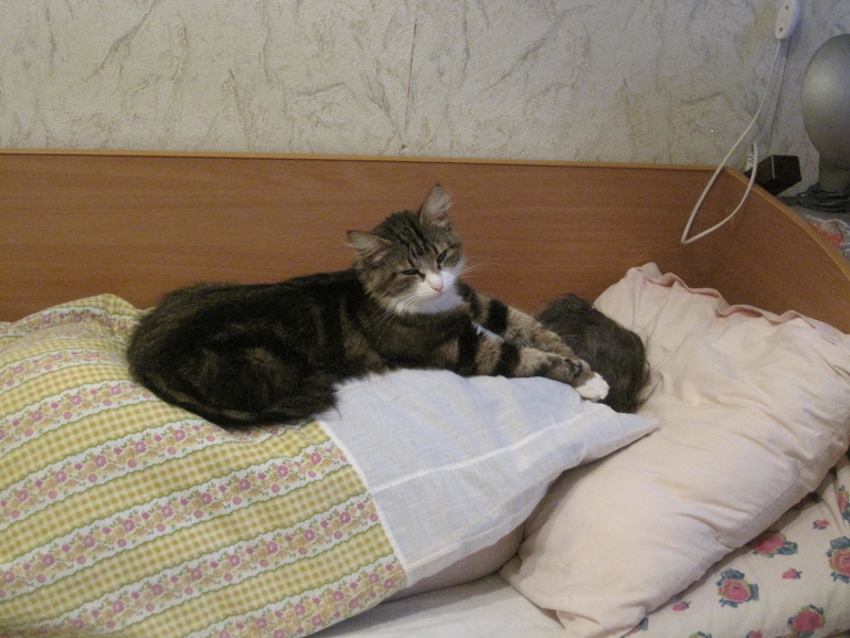 f492bbb0faab6db13327facb24e143ac.jpg
