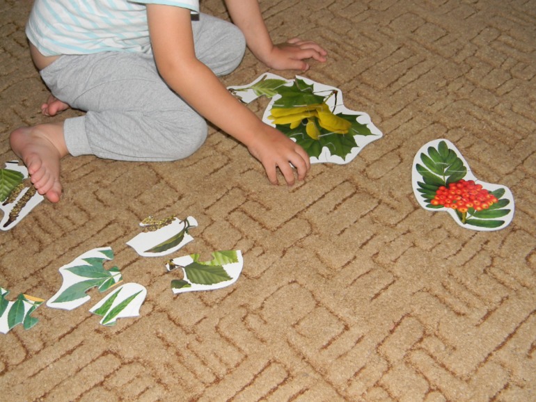 Тематический день. Осень