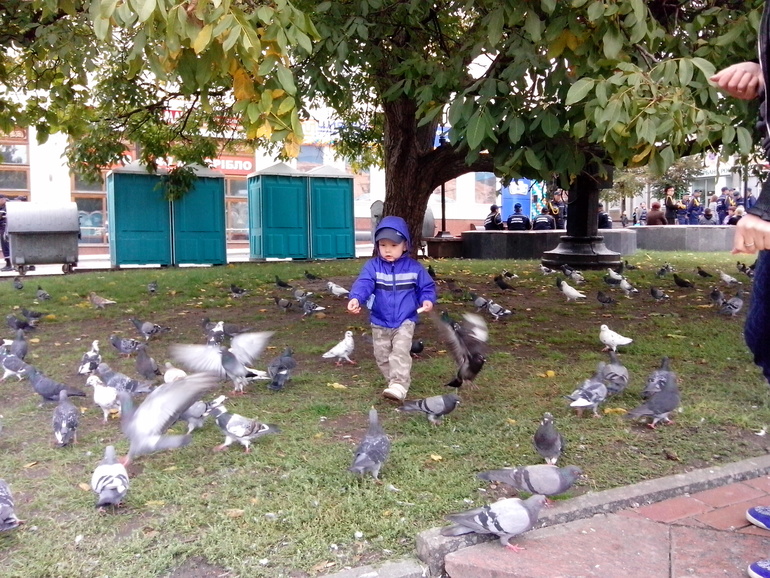 Осенние прогулки