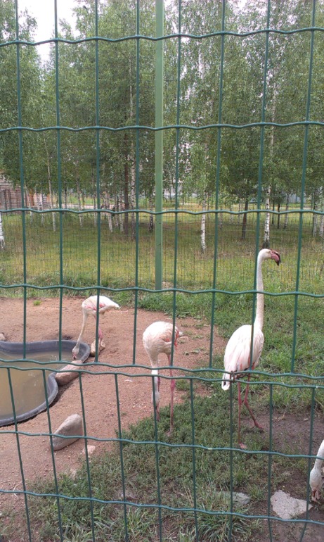 Ярославский зоопарк