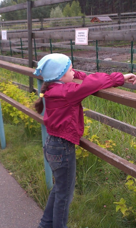 Ярославский зоопарк