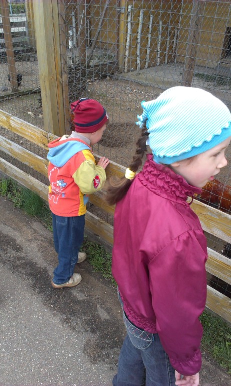 Ярославский зоопарк