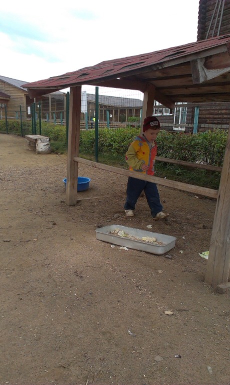 Ярославский зоопарк