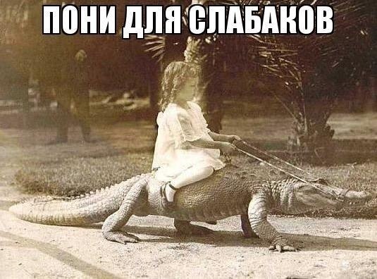 b7d14bfd7f265dbcb0ab6e200f777c6a.jpg