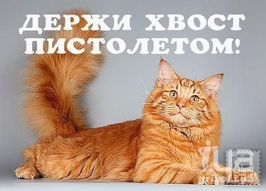 8426b15f304a0bf7fda1afb9cd0f3f30.jpg